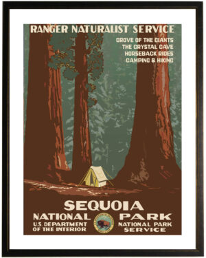 Sequoia travel poster