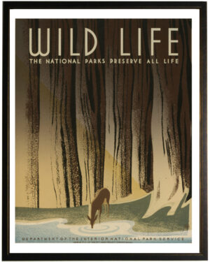 Wild Life travel poster
