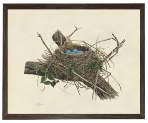 Bird Nest Plate Horizontal