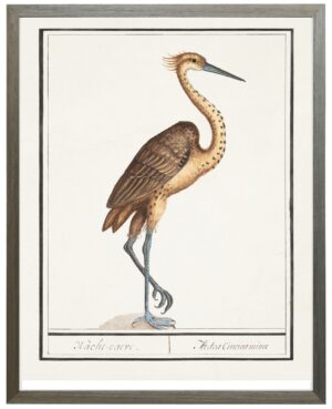 Vertical heron w/blue legs waterbird