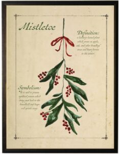 Holiday mistletoe with definition black shadowbox