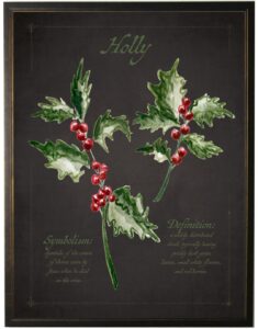 Christmas holly on black background
