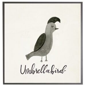 Umbrella bird