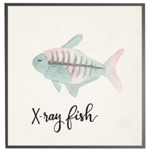 Xray fish