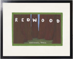 Red Wood National Park postcard