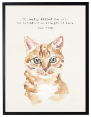 Watercolor Orange cat with Curiosity killed the cat quote