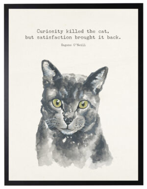 Watercolor Grey cat with Curiosity kill the cat quote