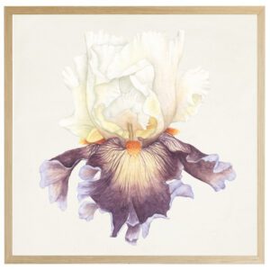 Watercolor Iris B