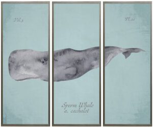 Triptych Sperm Whale in watercolor