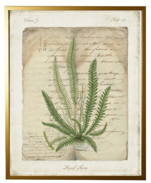 Vintage document with Hard Fern