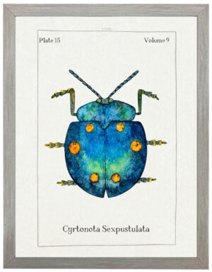 Watercolor blue and gold bug bookplate
