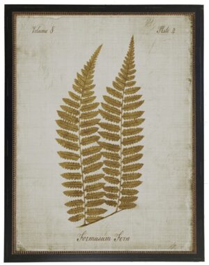 Sepia Formosum fern on aged background