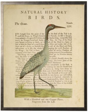 Crane on a natural history of birds title bookplate