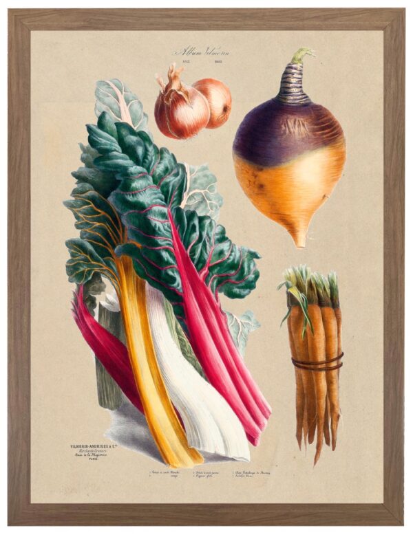 Vintage Vegetables illustrated bookplate