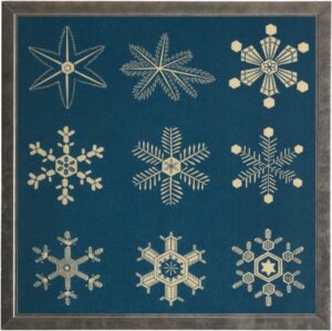 Vintage snowflake illustrations on a navy background