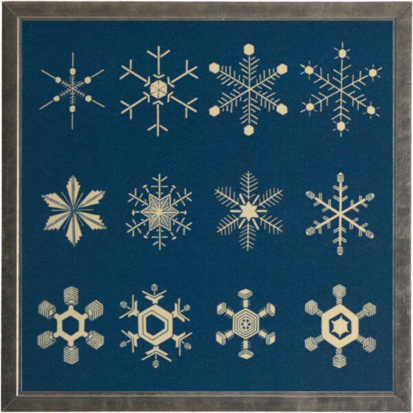 Vintage snowflake illustrations on a navy background