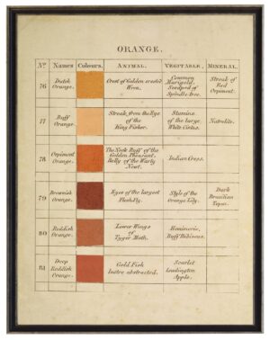 Vintage descriptive handwritten color chart of oranges