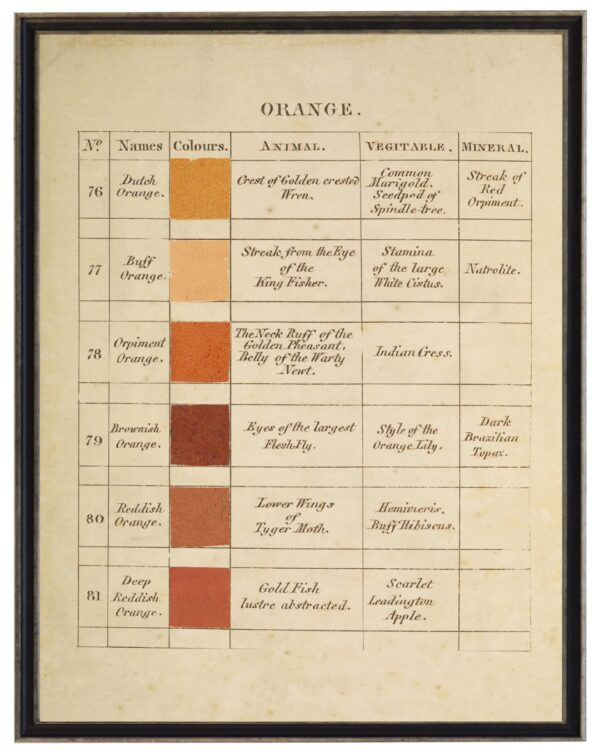 Vintage descriptive handwritten color chart of oranges