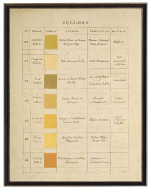 Vintage descriptive handwritten color chart of yellows