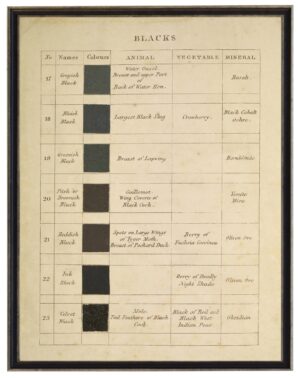 Vintage descriptive handwritten color chart of blacks