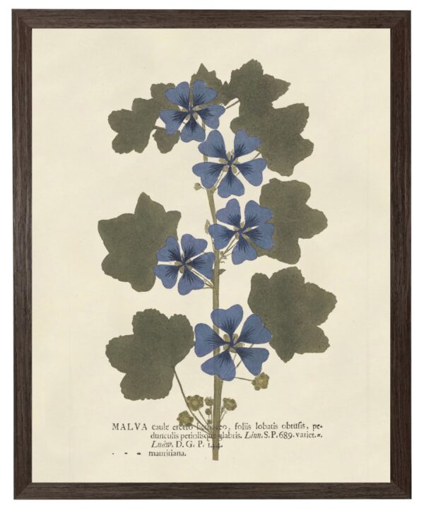 Vintage blue flower art on distressed background
