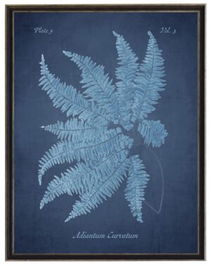 Blue fern on navy distressed background