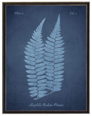Blue fern on navy distressed background