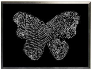 Black and white doodle butterfly on black