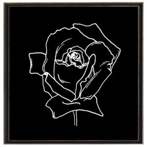 Black and white June rose