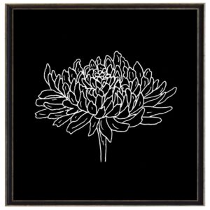Black and white November chrysanthemum