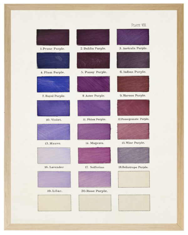 Purples painted color chart