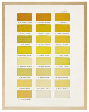 Yellows painted color chart