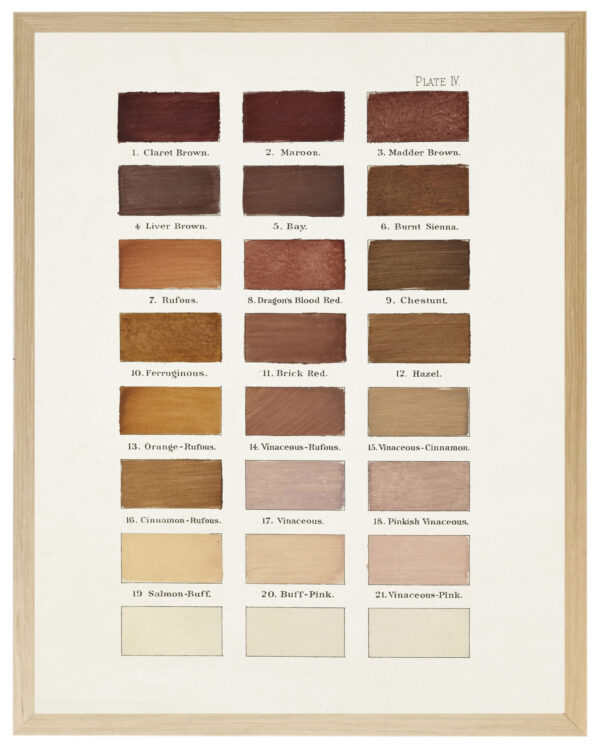 Browns painted color chart