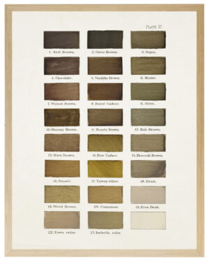 Browns painted color chart