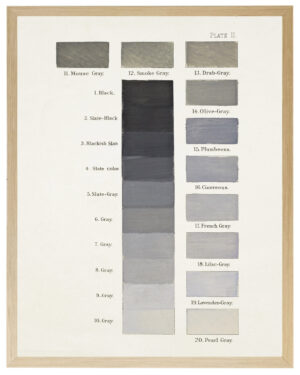 Greys painted color chart