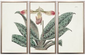 Vintage horizontal triptych pink and green flower bookplate