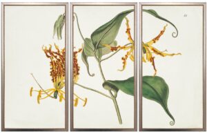 Vintage horizontal triptych yellow flower bookplate