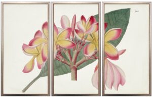 Vintage horizontal triptych pink and yellow flower bookplate