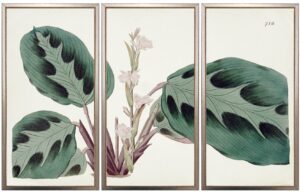 Vintage horizontal triptych white and green flower bookplate