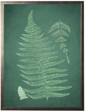 Fern on a green distressed background