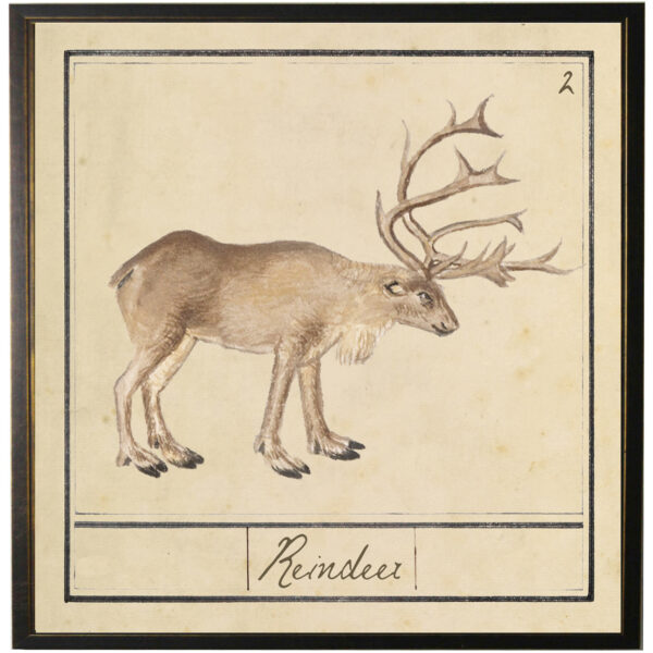 Vintage reindeer bookplate