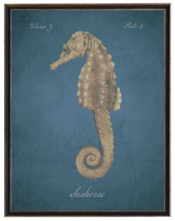 Watercolor seahorse on a dark blue distressed background