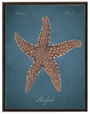Watercolor starfish on a dark blue distressed background