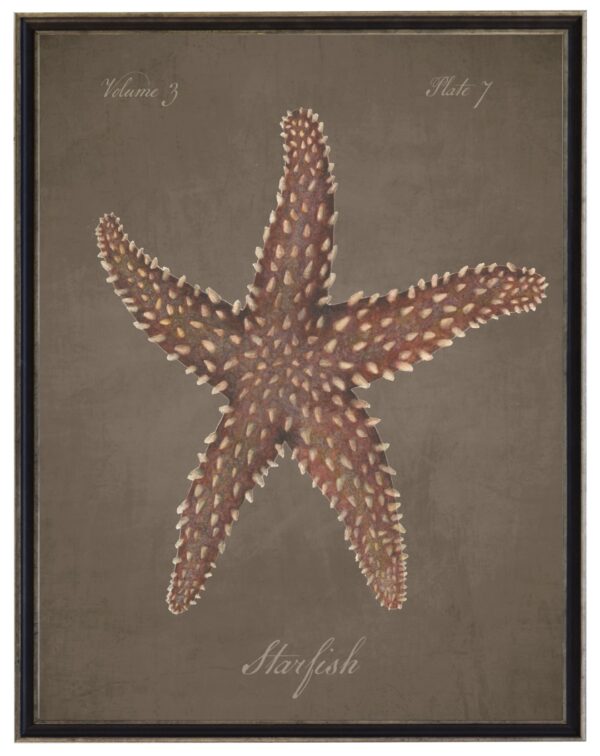 Watercolor starfish on a dark brown distressed background