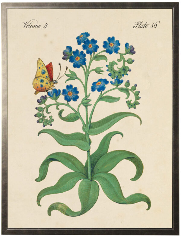 Vintage bookplate of blue flowers and a butterfly on a distressed natural background