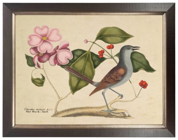 Vintage bookplate of a mockingbird on a cream background
