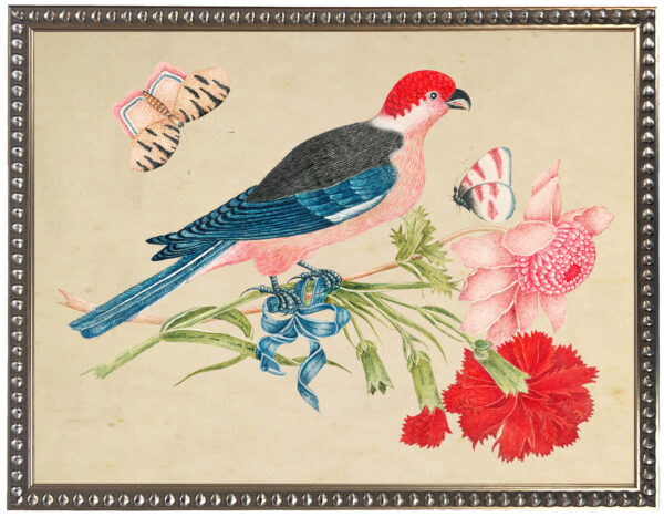 Vintage bookplate with birds