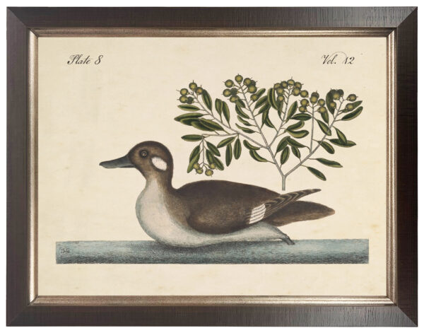 Vintage duck bookplate on a distressed natural background