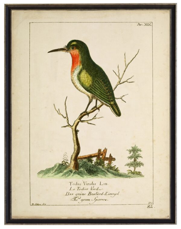 Vintage bookplate of a bird illustration on a distressed natural background