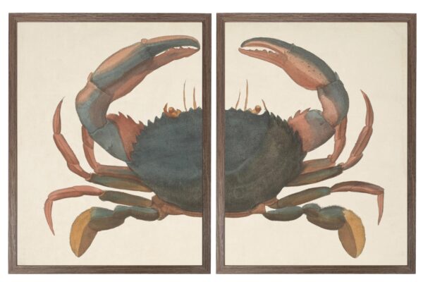 Vintage bookplate of a blue crab diptych